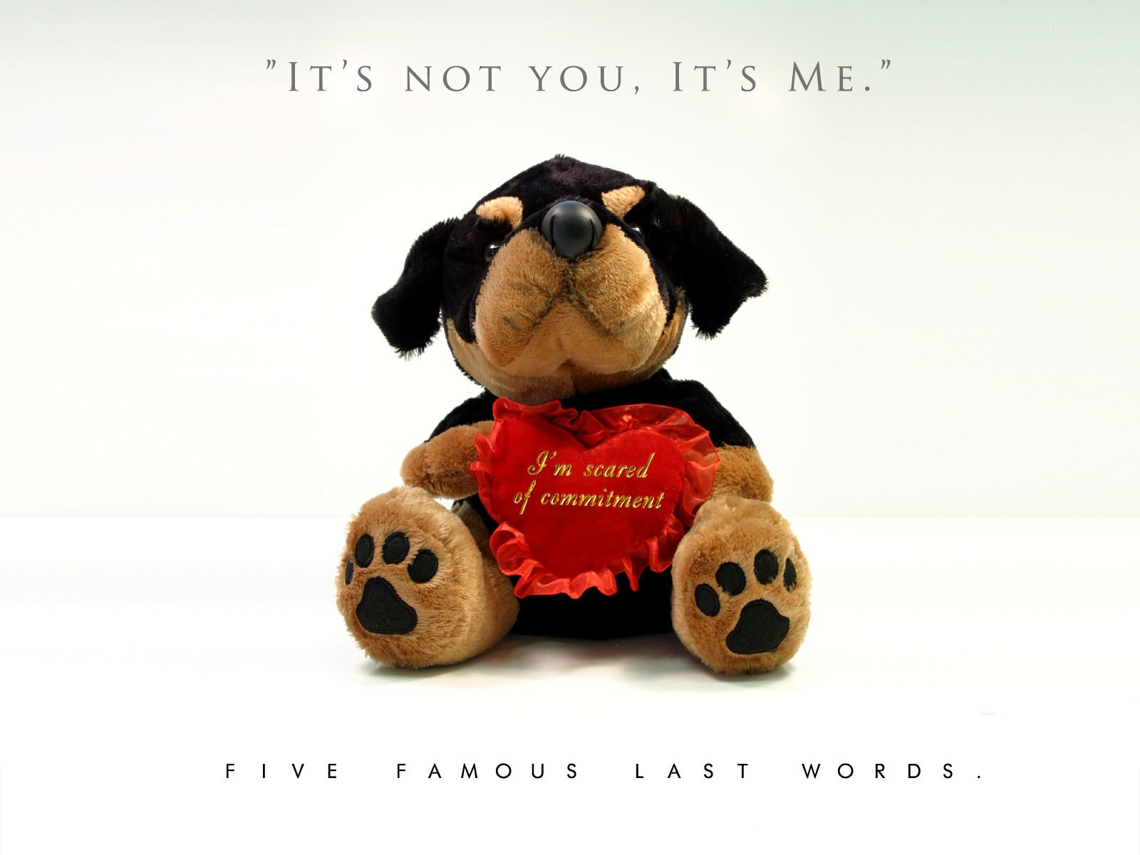 Plush dog with heart