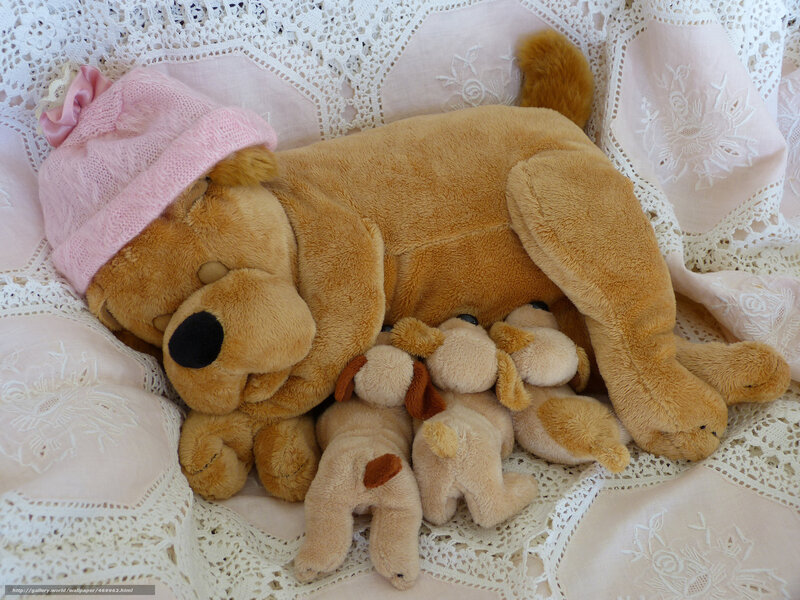 Plush Dog with Puppies — Brown, Serene