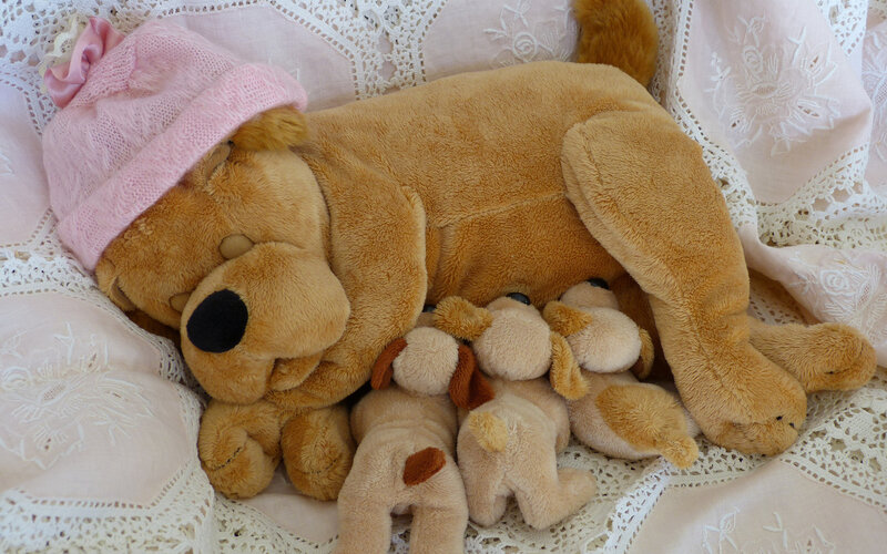 Plush Dog with Puppies
