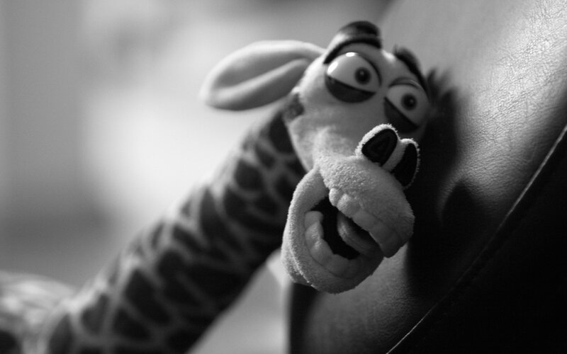Plush Giraffe Toy