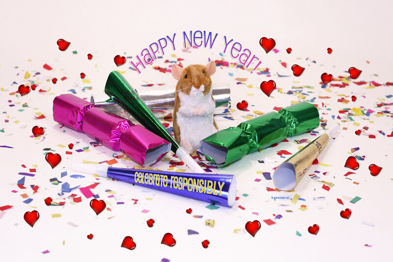 Plush Hamster with Crackers
