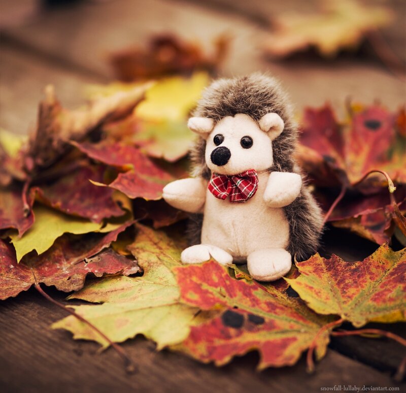 Plush Hedgehog Toy
