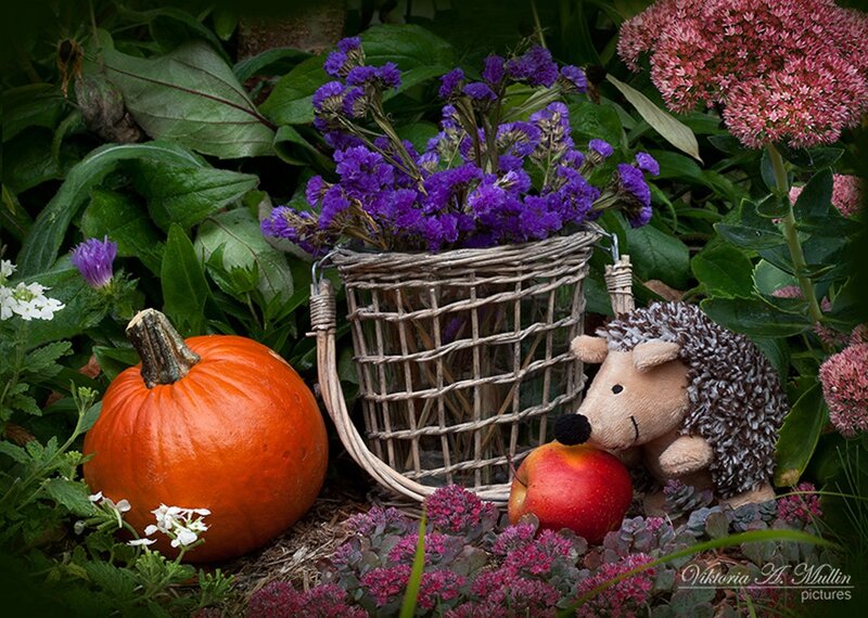 Plush Hedgehog with Pumpkin