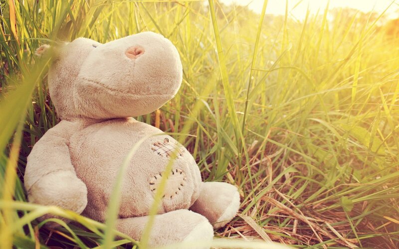 Plush Hippo in Grass
