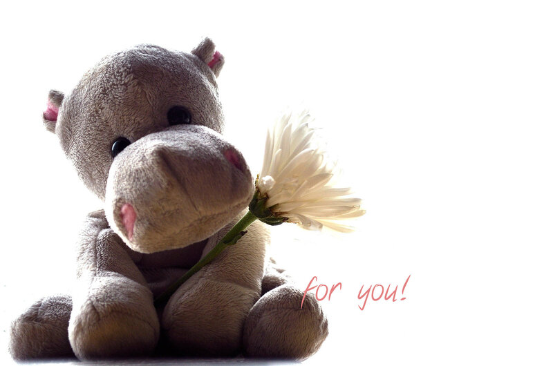 Plush Hippo with Flower