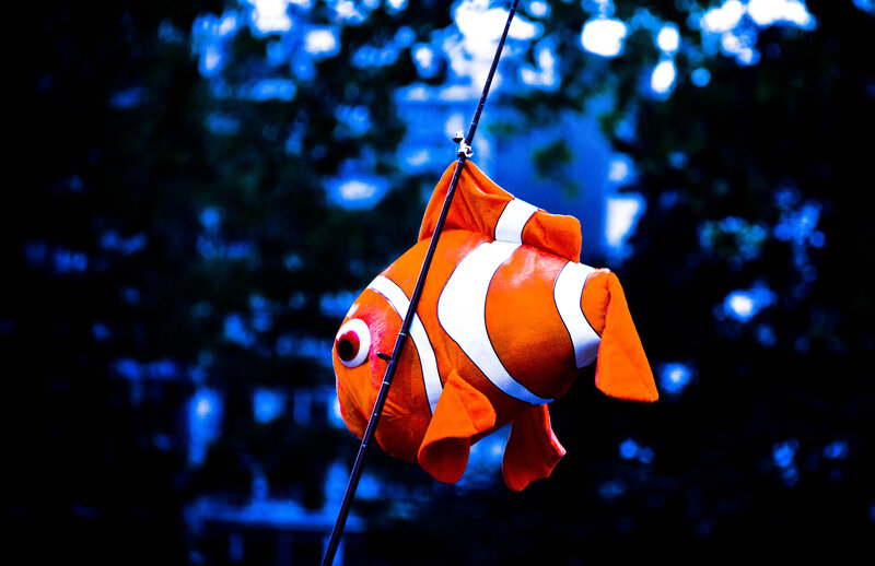 Plush Nemo Fish