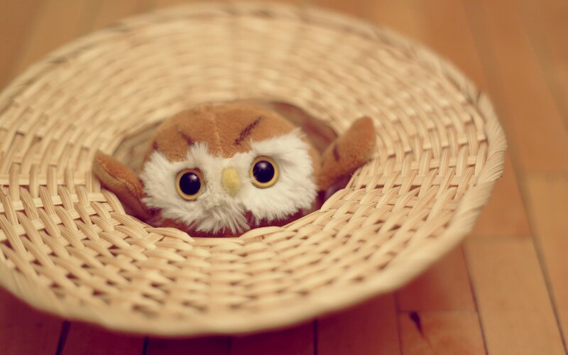 Plush Owl in Basket