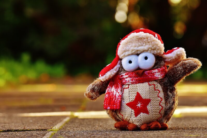 plush owl in winter clothes