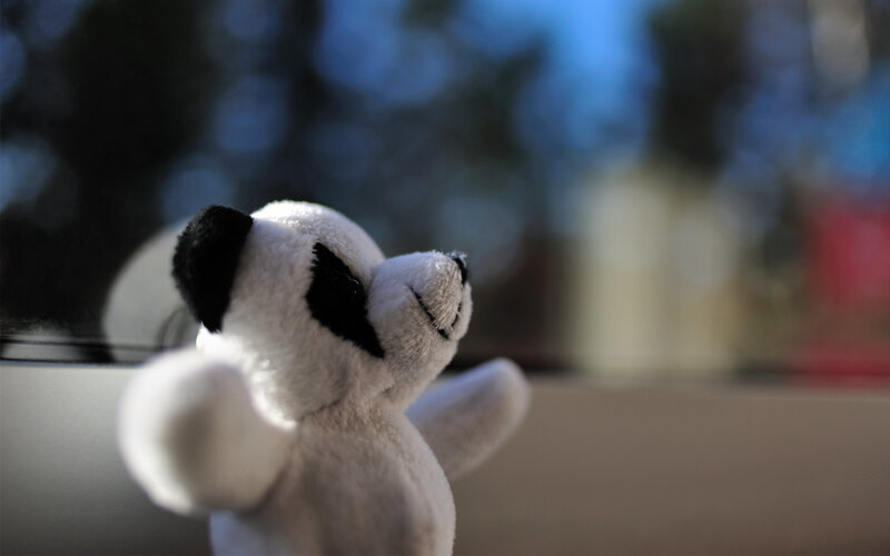 Plush Panda Bear