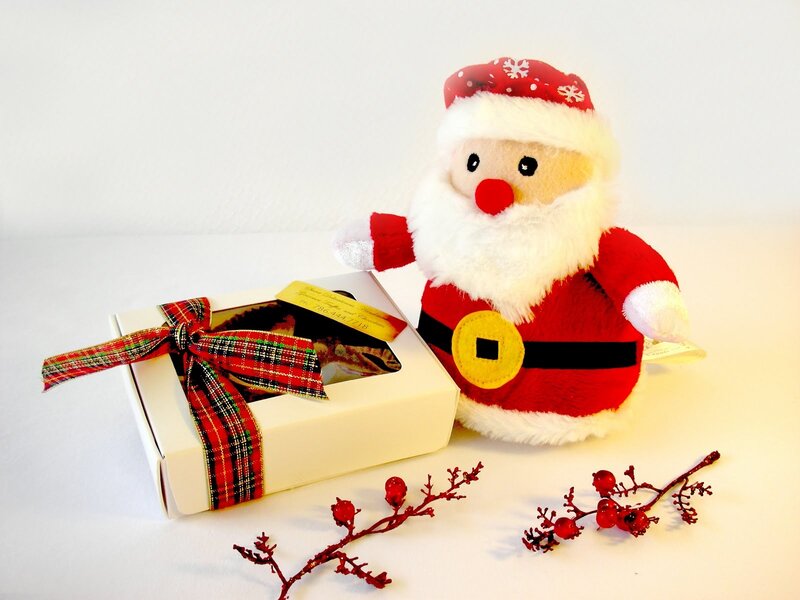 Plush Santa Claus Toy