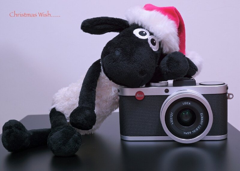 Plush Sheep with Camera