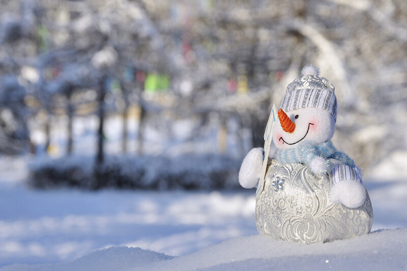 Plush Snowman in Snow