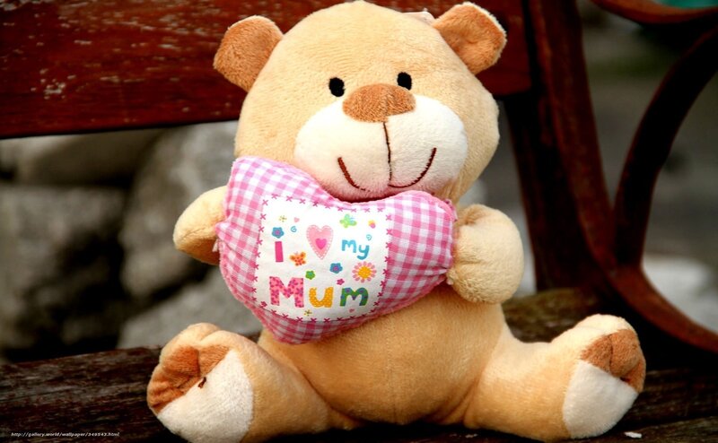 Plush Teddy Bear — Brown, Calm, Photograph