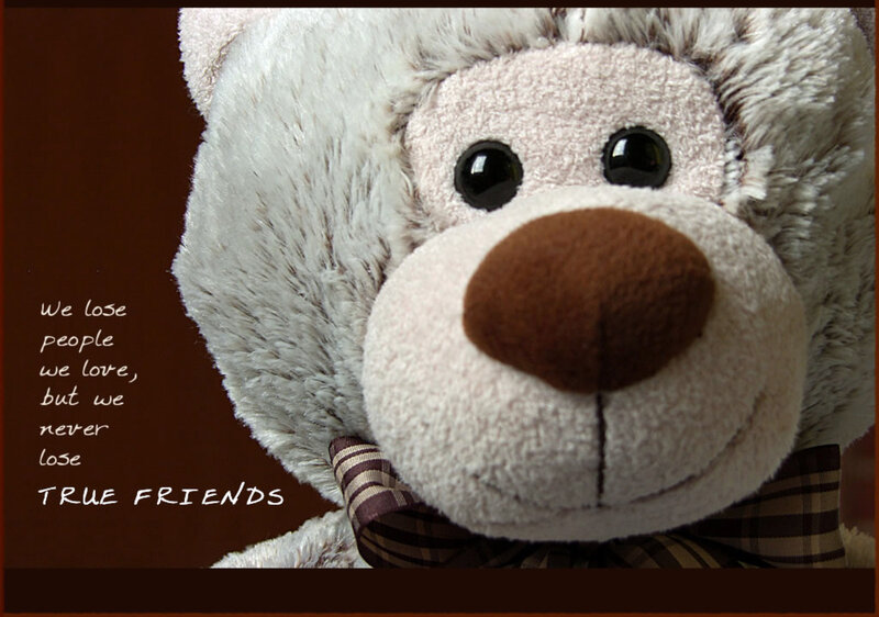 Plush Teddy Bear