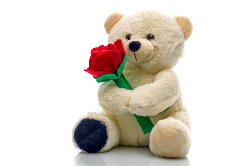 Plush Teddy Bear — White, Calm