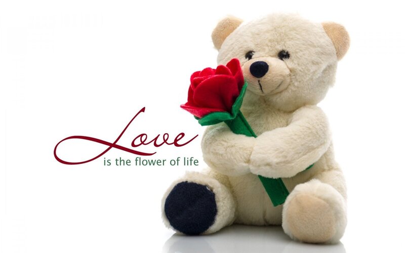 Plush Teddy Bear — White