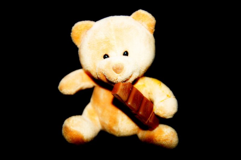 Plush Teddy Bear with Chocolate