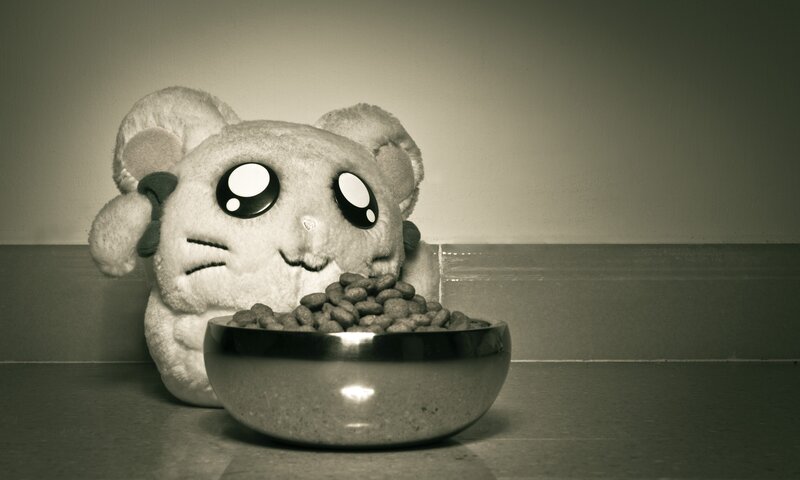 plush toy with food bowl