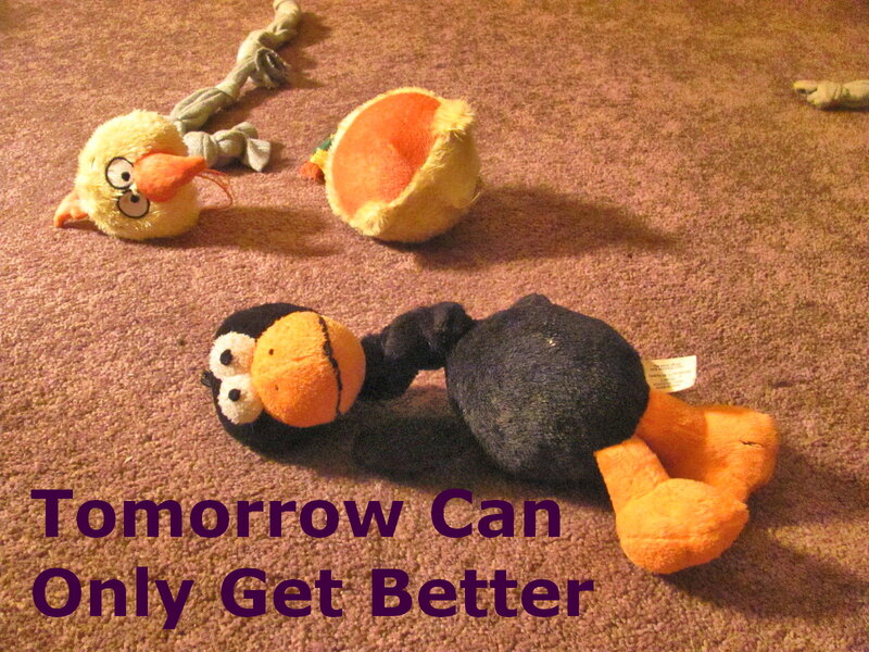 Plush Toys on Carpet