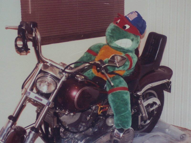 Plush Turtle on Motorcycle