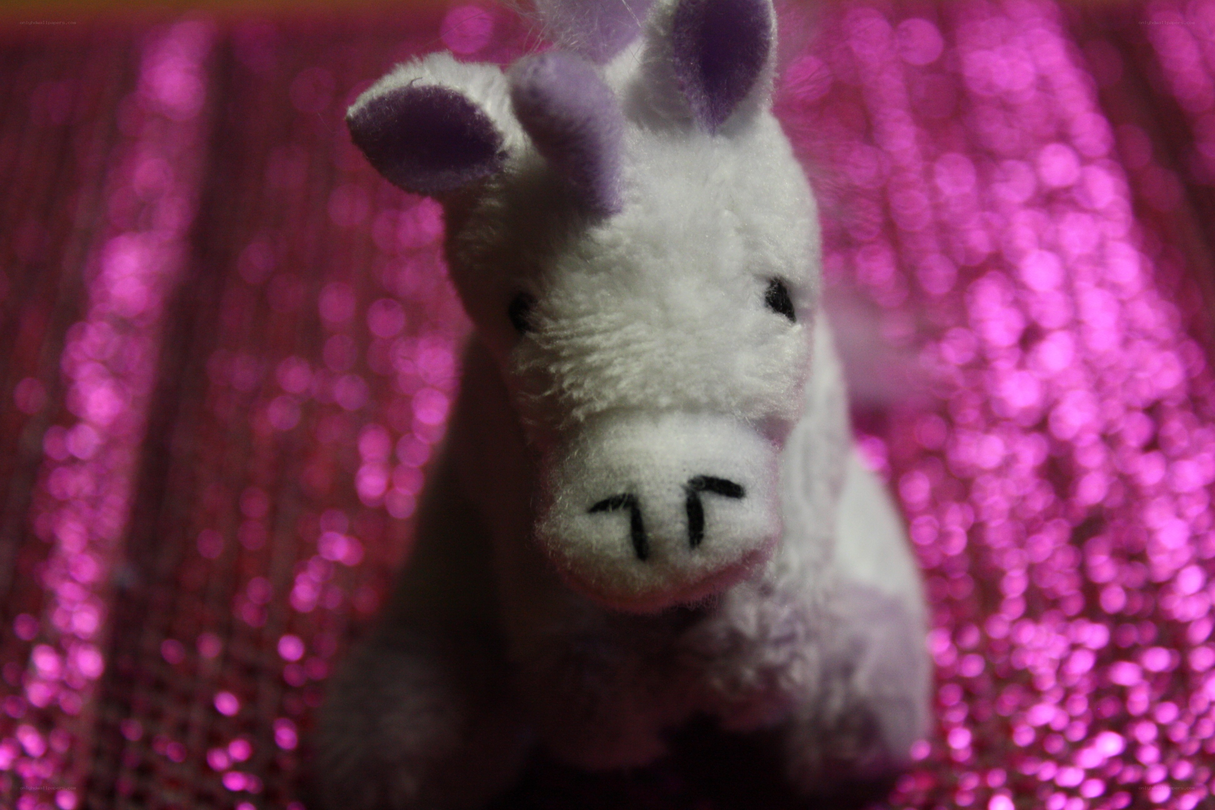 plush unicorn on pink background