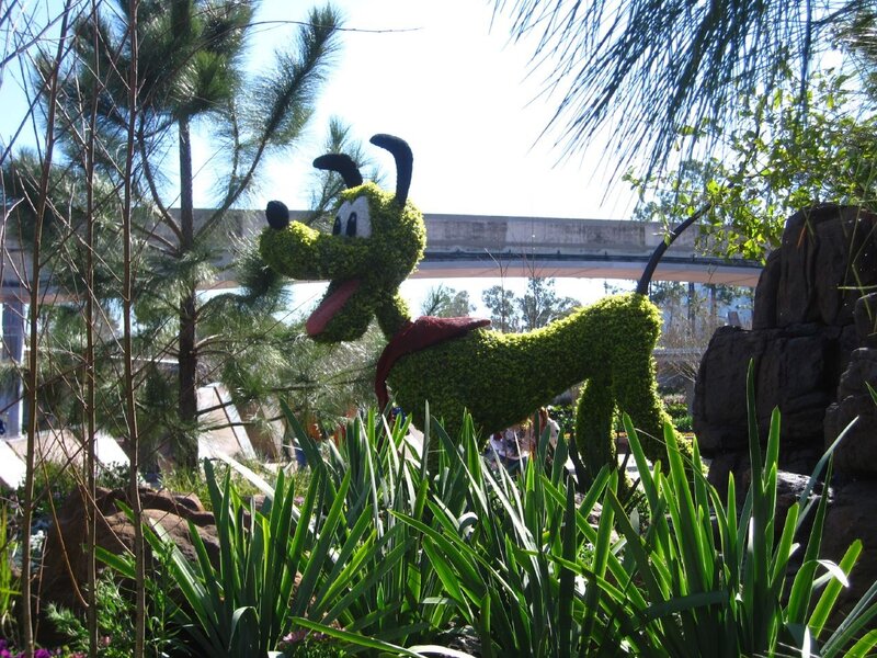 Pluto topiary at Disney