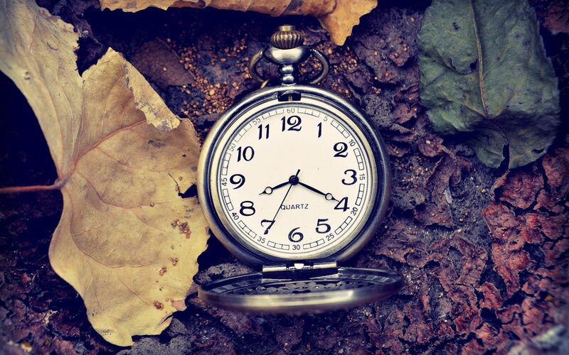 pocket watch among autumn leaves