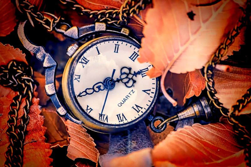 Pocket Watch Among Leaves — Orange