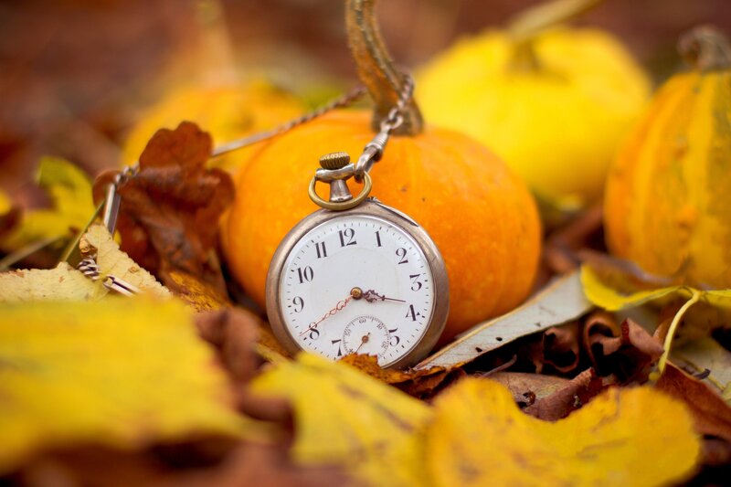 Pocket Watch Among Leaves
