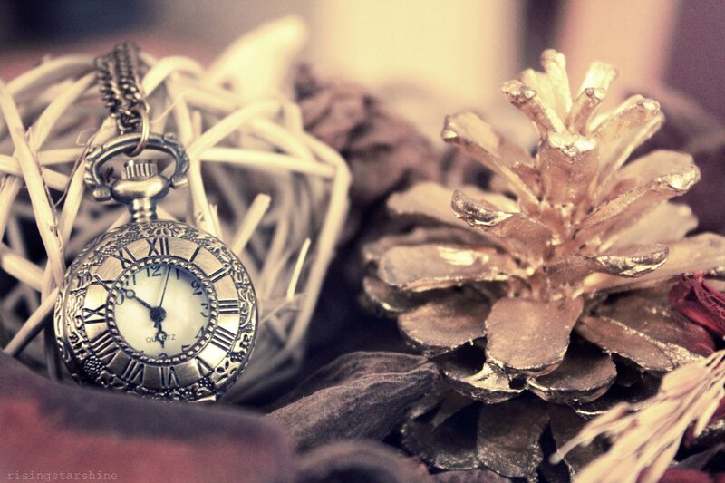 Pocket Watch and Pinecone