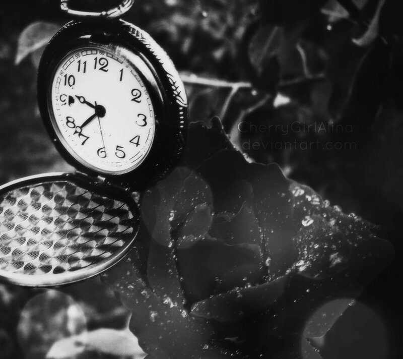 Pocket Watch and Rose