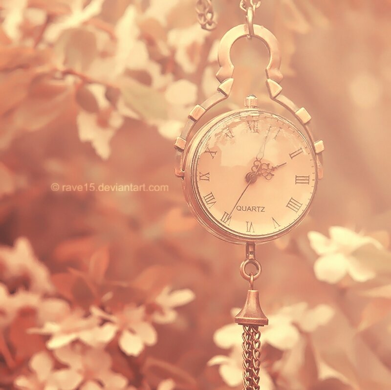 Pocket Watch Hanging — Brown