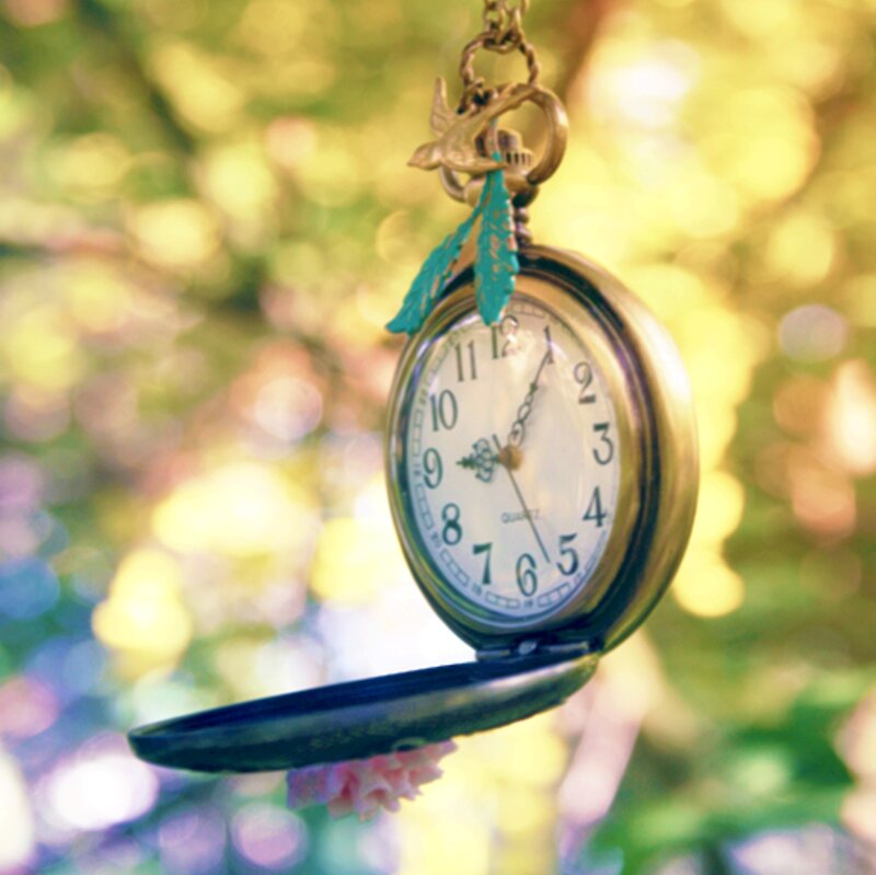 Pocket Watch Hanging