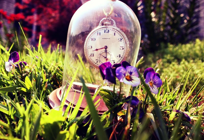 Pocket watch in a glass dome
