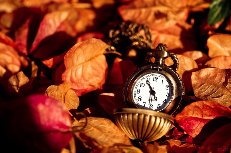 Pocket Watch in Autumn Leaves — Red