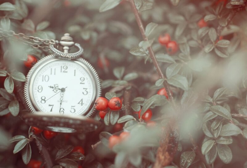Pocket Watch in Bush