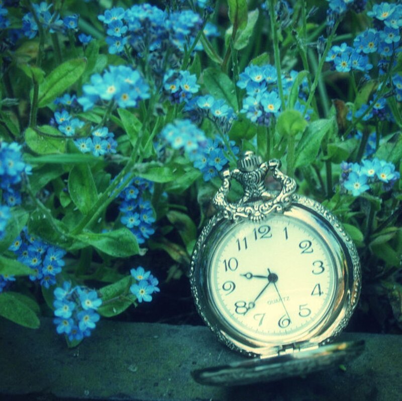 Pocket Watch in Flowers — Blue
