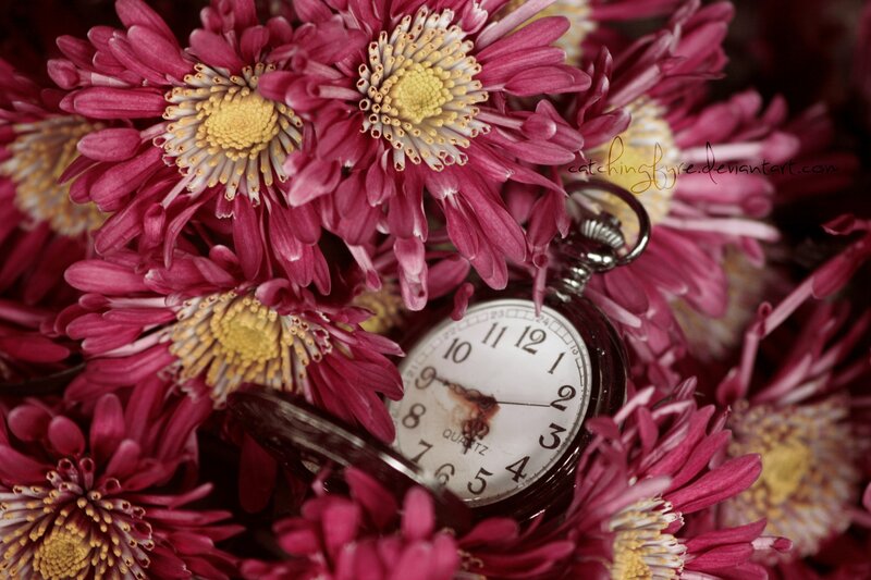 Pocket Watch in Flowers — Pink, Dramatic