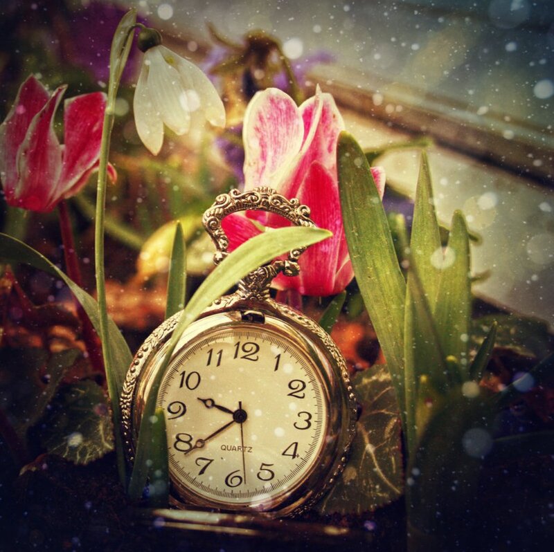 Pocket Watch in Flowers — Pink, Dreamy