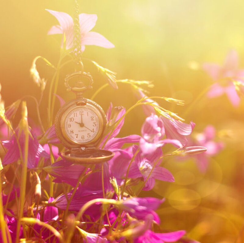 Pocket Watch in Flowers — Pink