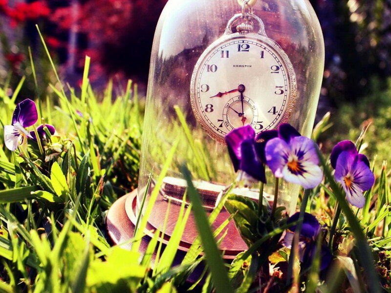 Pocket Watch in Glass Dome — Green