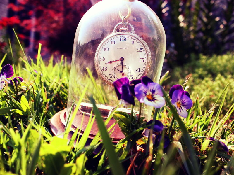 Pocket Watch in Glass Dome