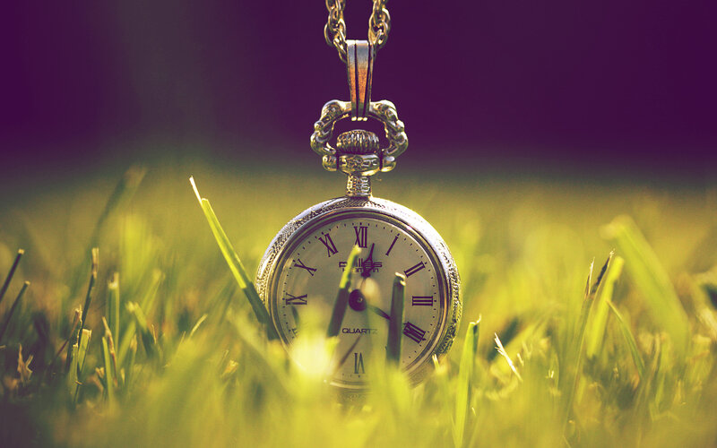 Pocket watch in grass