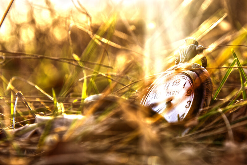 Pocket Watch in Grass — Gold
