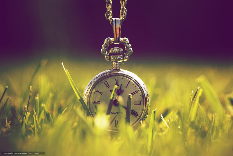 Pocket Watch in Grass — Green, Dramatic