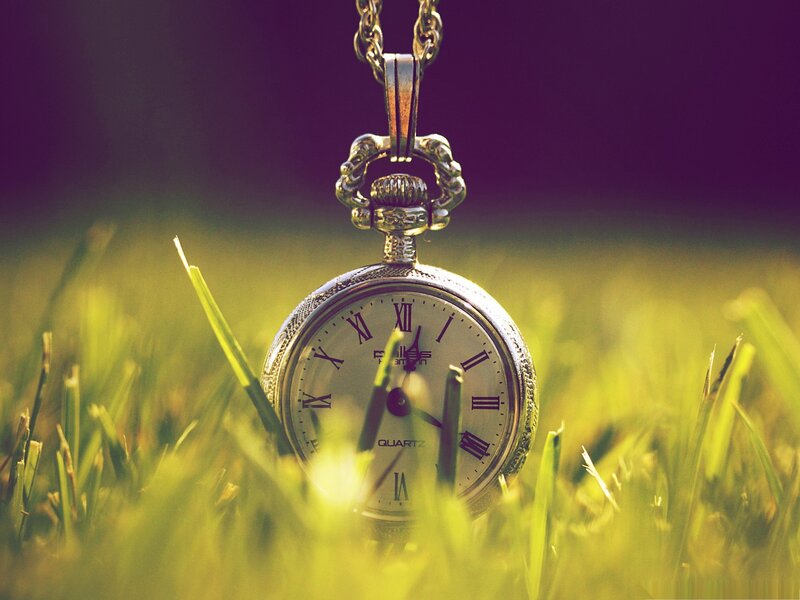 Pocket Watch in Grass — Green, Serene, Afternoon