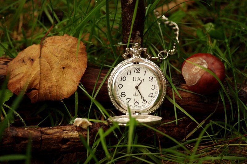Pocket Watch in Grass — Green, Serene, Autumn