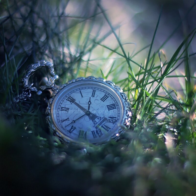 Pocket Watch in Grass — Green, Serene, Photograph
