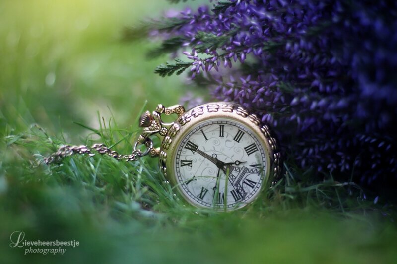 Pocket Watch in Grass — Green, Serene, Spring