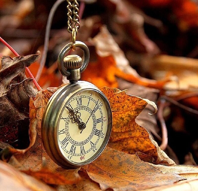 Pocket Watch in Leaves — Brown, Calm